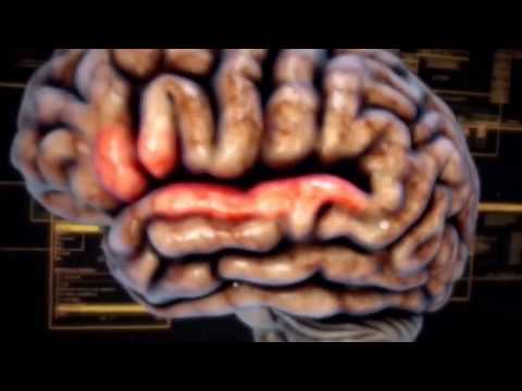 Мозг человека: Тайны разума  / ადამიანის ტვინი: გონის საიდუმლოებები (2016)